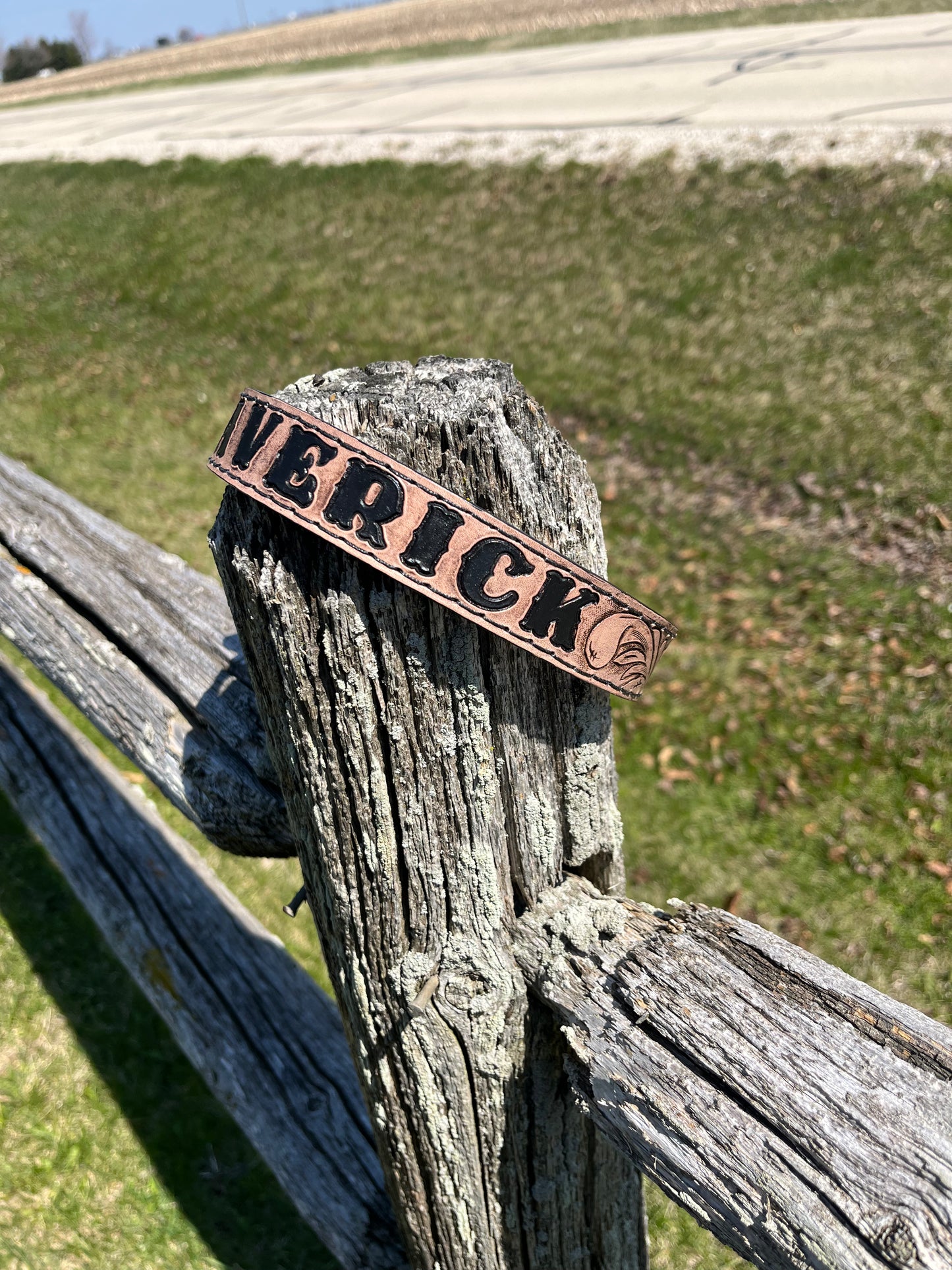 Dog Collar