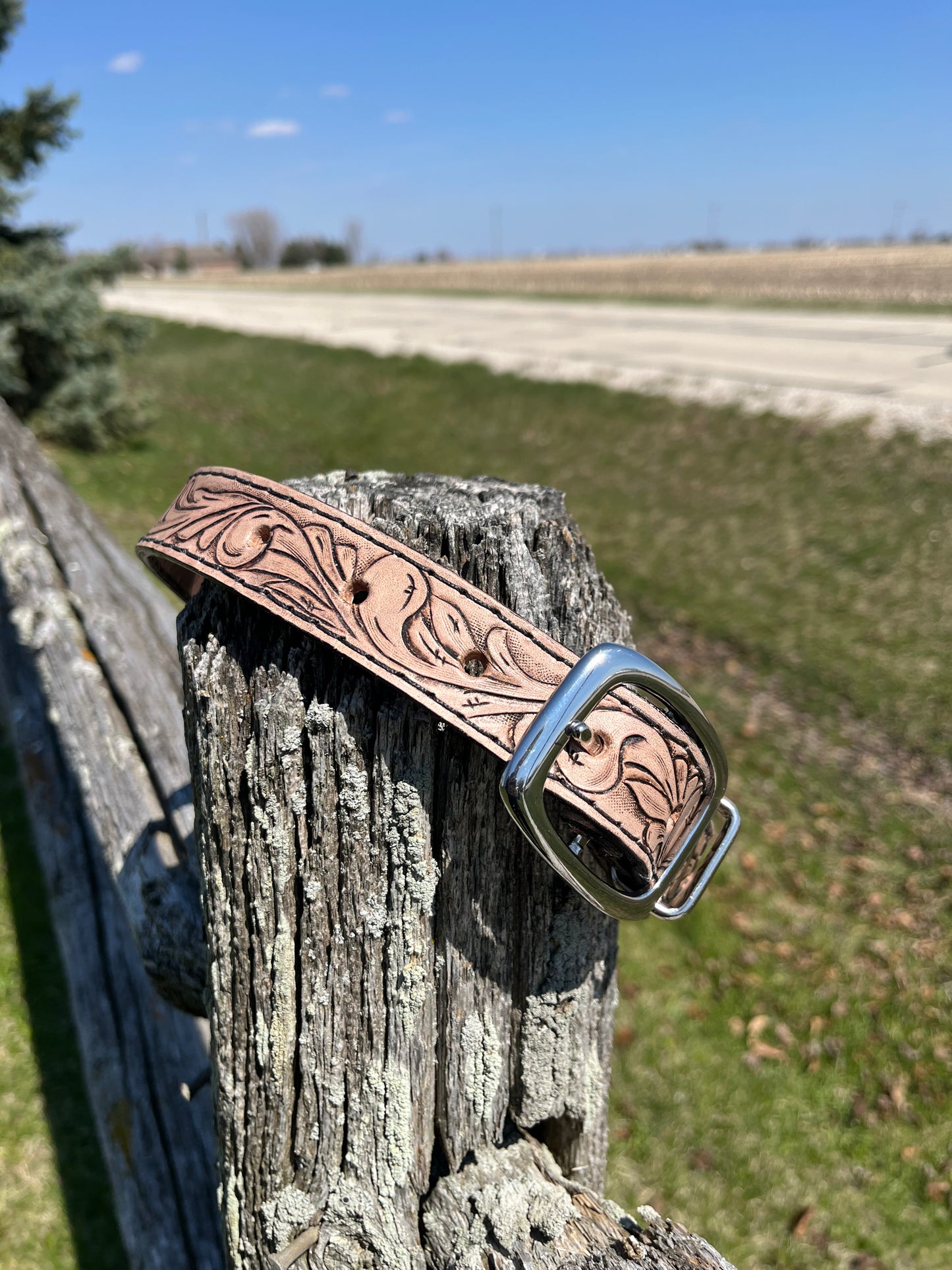 Dog Collar