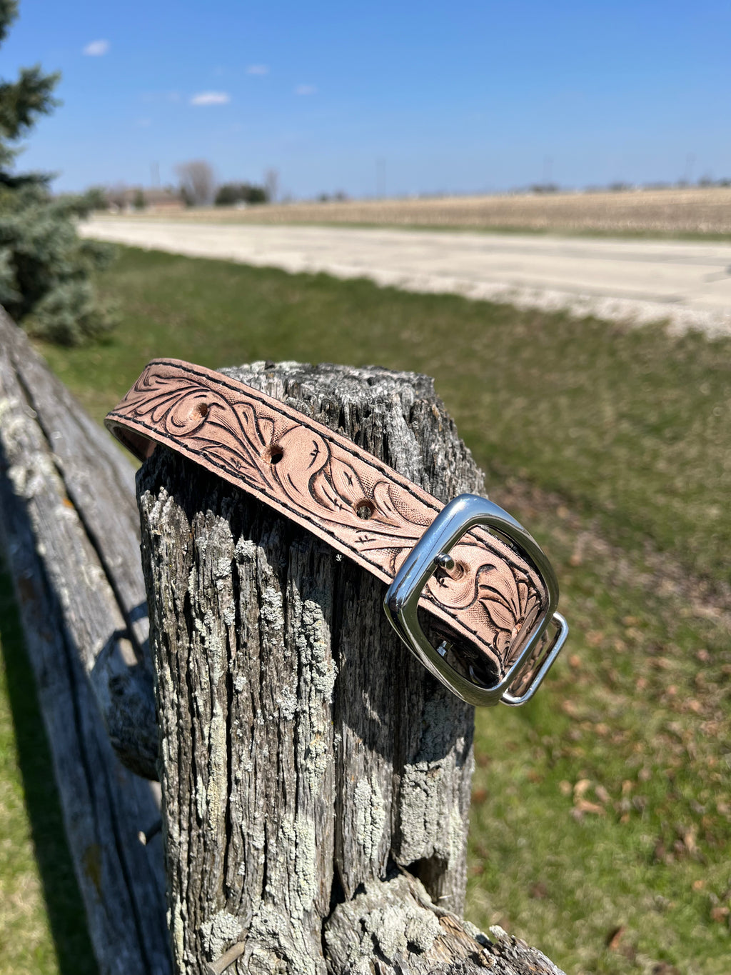 Dog Collar